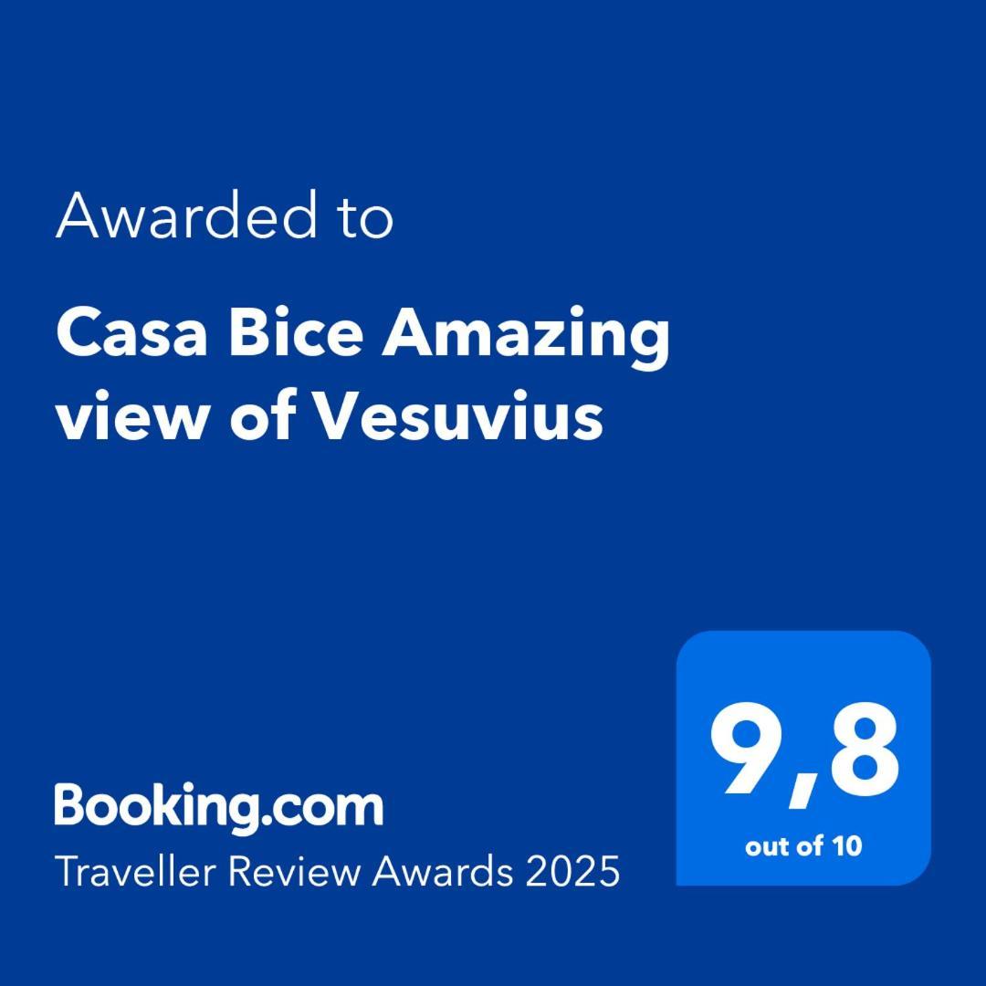 Casa Bice Amazing View Of Vesuvius Appartement Sorrento Buitenkant foto